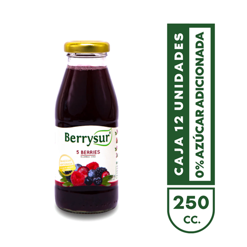 Caja Jugos Berrysur, 250 cc